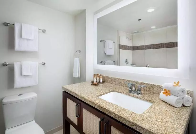 استودیو استاندارد با چشم‌انداز باغ, Marriott's Kaua'i Beach Club