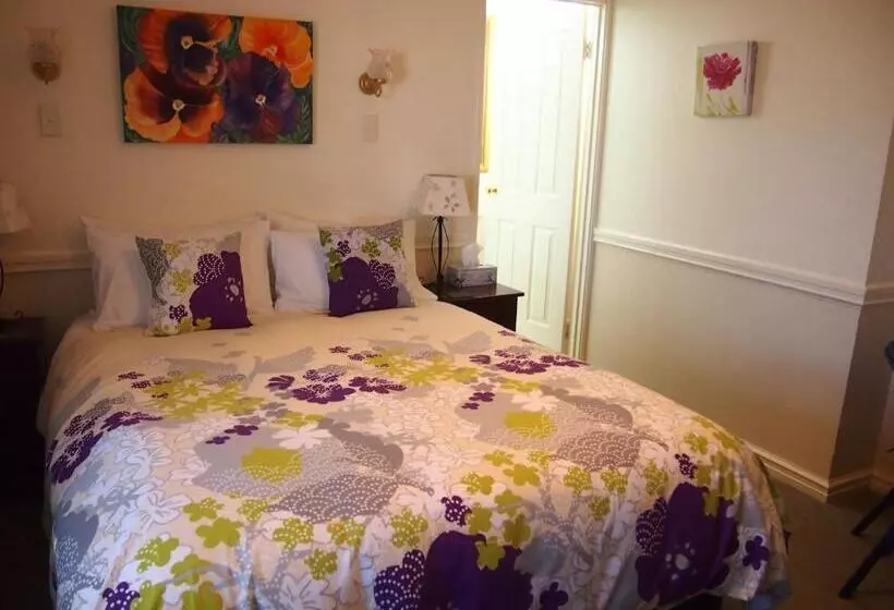 シングルデラックスルーム, Anchorage Guest House And Selfcontained Accommodation