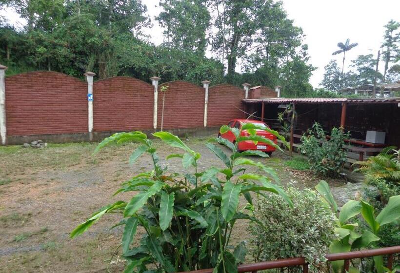 غرفة ديلوكس, Flor Del Campo