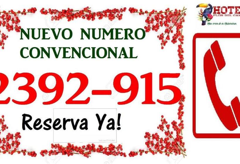 غرفة ديلوكس, Flor Del Campo