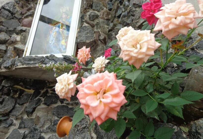 غرفة قياسية رباعية, Flor Del Campo