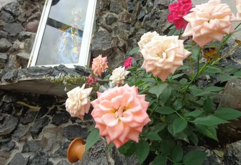 スタンダード4人部屋, Flor Del Campo