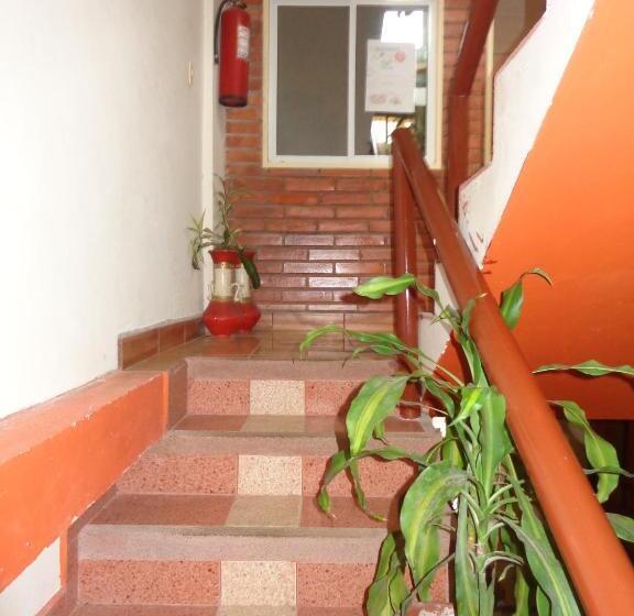 غرفة قياسية رباعية, Flor Del Campo