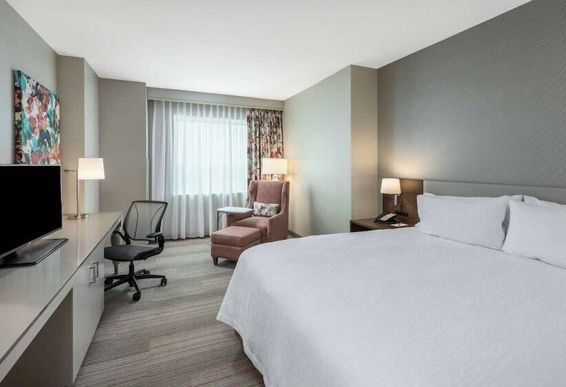 غرفة قياسية سرير كينج لذوى الإحتياجات الخاصة, Hilton Garden Inn Miami Dolphin Mall