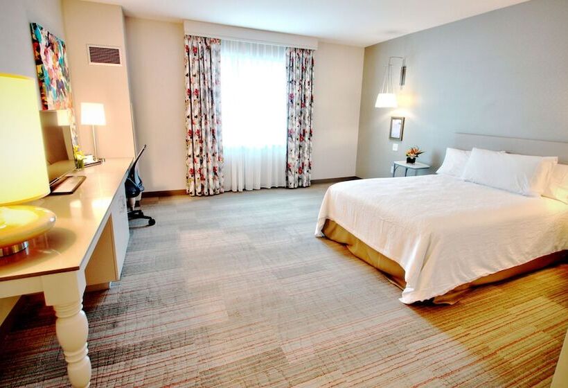 غرفة قياسية سرير كينج لذوى الإحتياجات الخاصة, Hilton Garden Inn Miami Dolphin Mall