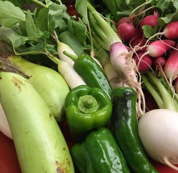 Camera Standard Bagno Condiviso, Ryokan Dougoya