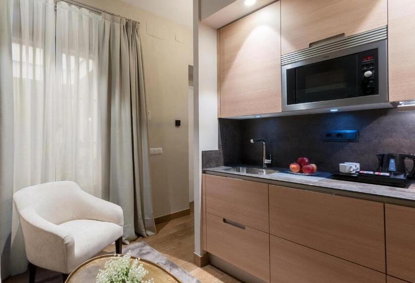 آپارتمان 1 خوابه, Suites Murillo Catedral