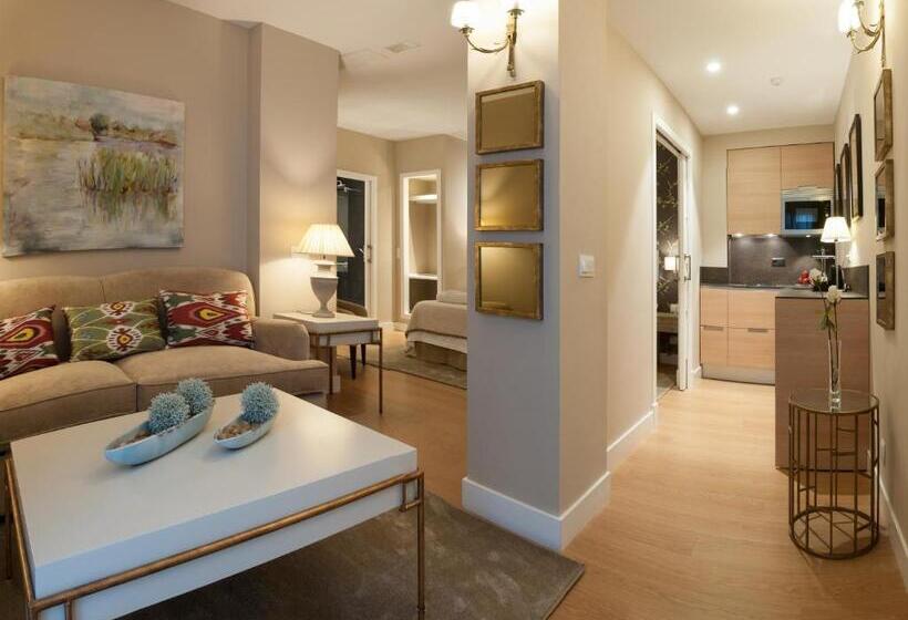 آپارتمان سوپریور 1 خوابه, Suites Murillo Catedral