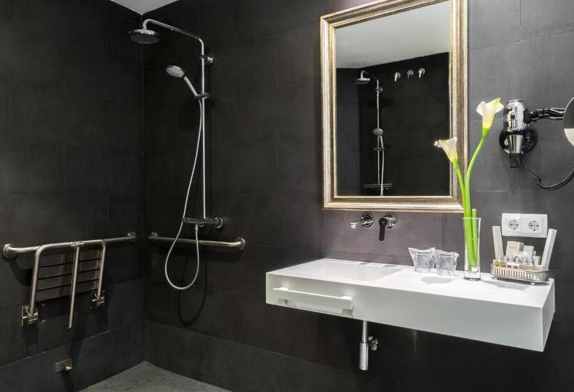 آپارتمان سوپریور 1 خوابه, Suites Murillo Catedral