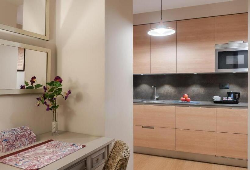 آپارتمان سوپریور 1 خوابه, Suites Murillo Catedral