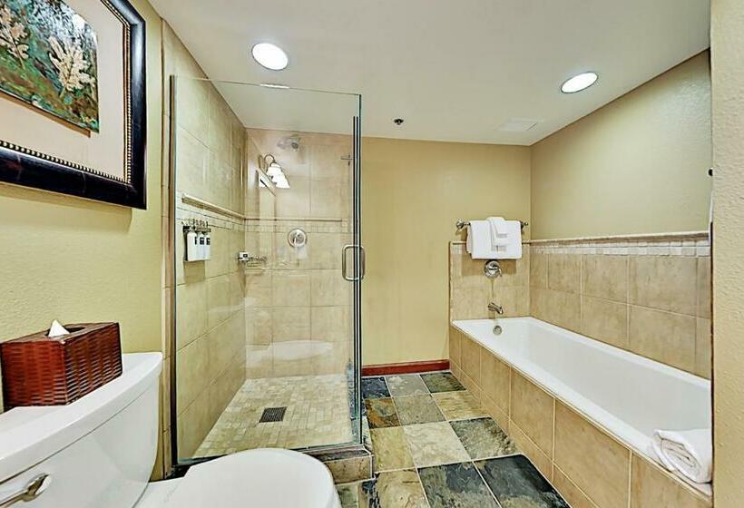 خانه 2 خوابه, Resort At Squaw Creek S 605 & 607