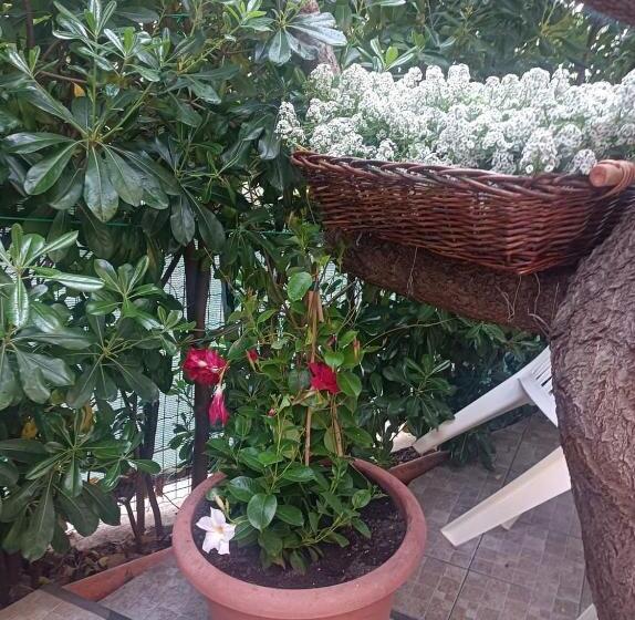 اتاق لوکس, B&b Ninni