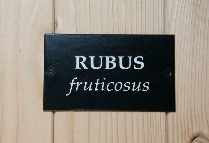 חדר סופריור, Chambres De La Barboire Campagne