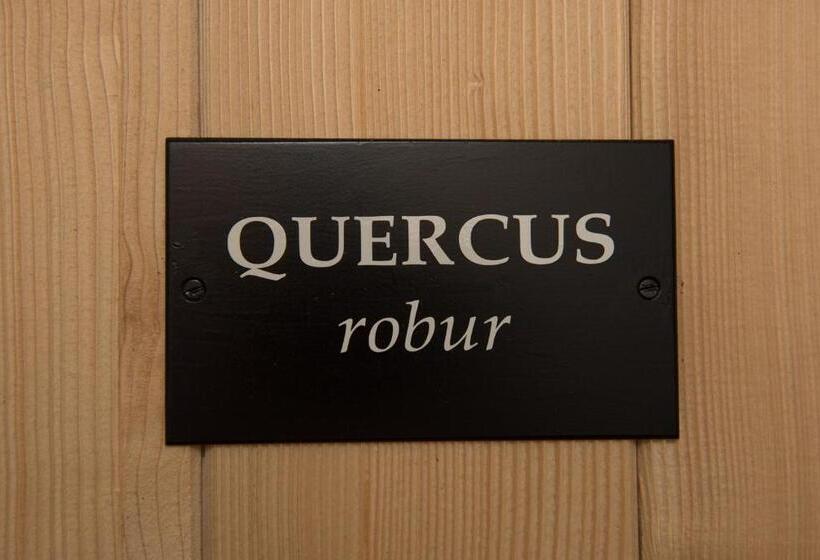 חדר סופריור, Chambres De La Barboire Campagne