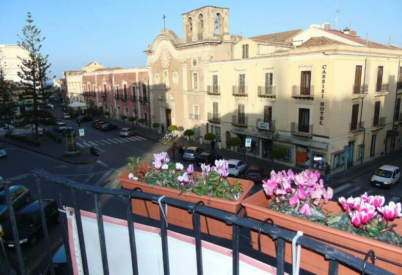 スタンダードルーム, Phenicusa