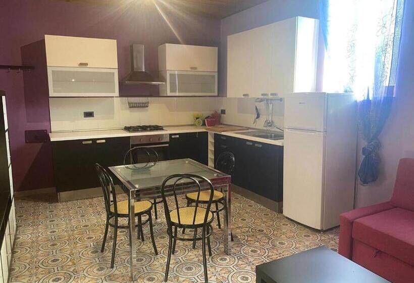 ２ベッドルームハウス, Phenicusa