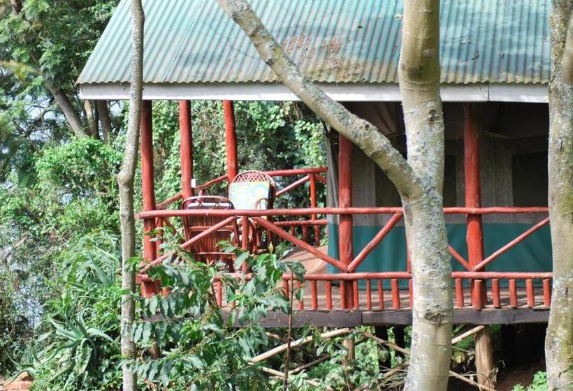 چادر با خدمات رفاهی استاندارد, Crater Bay Cottages