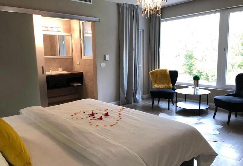 带大床的标准间, Vila Roca Hotel And Spa