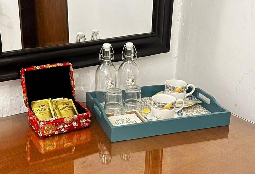 Suite Executiva, 19th Century Boutique