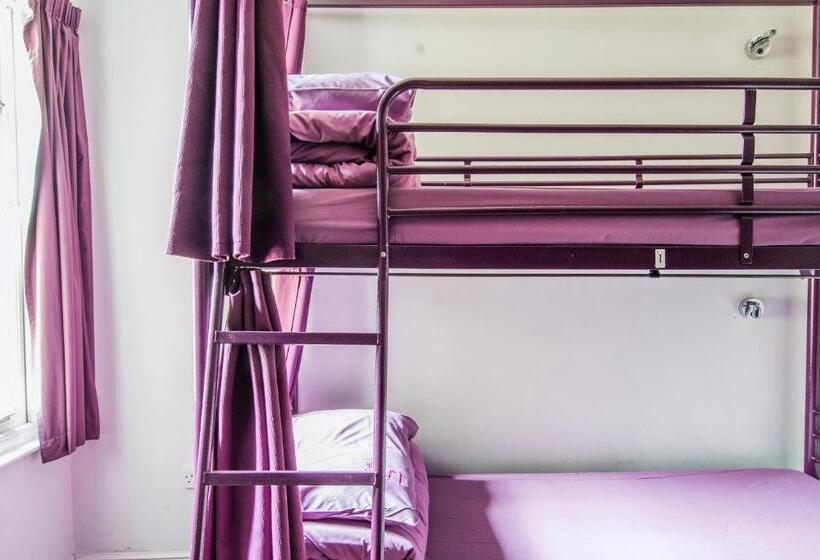 共用房间的床, Safestay London Elephant & Castle