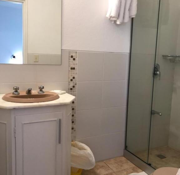 דירת חדר, Dollar