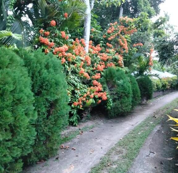 Номер Deluxe, Madoldu Eco Resort