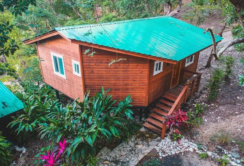 خانه 1 خوابه, The Resort At Marble Hill