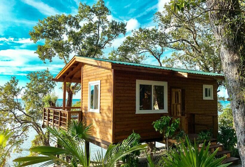 خانه 1 خوابه, The Resort At Marble Hill