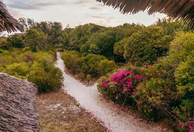 بانگلوی استاندارد, Pemba Eco Lodge