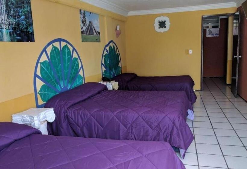 سوییت, Suites Elia Noemi