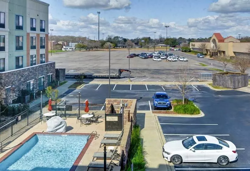 身障者適用スイートルーム, Towneplace Suites By Marriott Alexandria