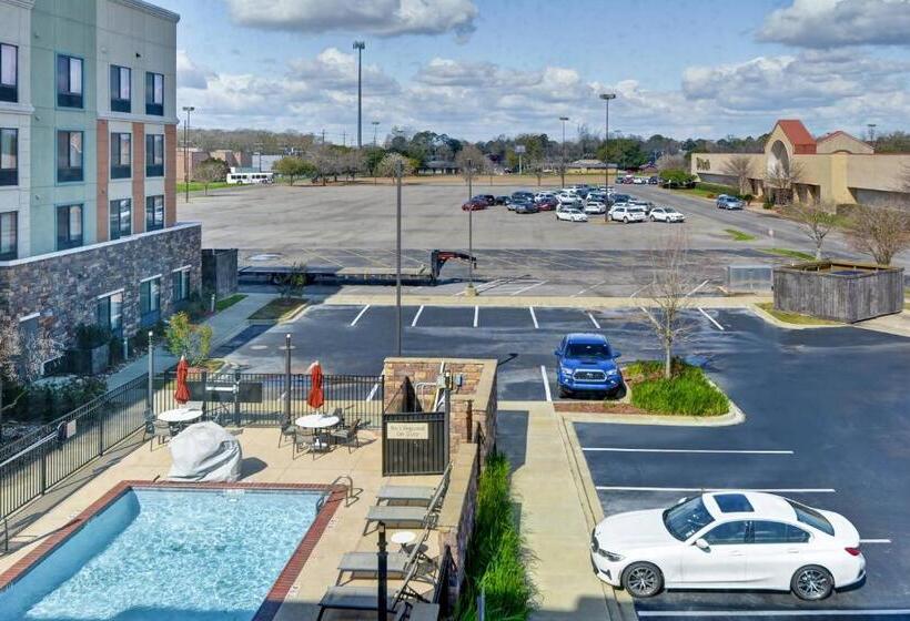 침실 2개 스위트, Towneplace Suites By Marriott Alexandria