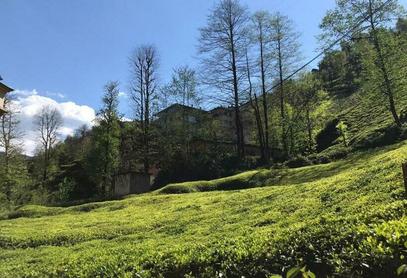 اتاق اکونومی, Can Butik Otel