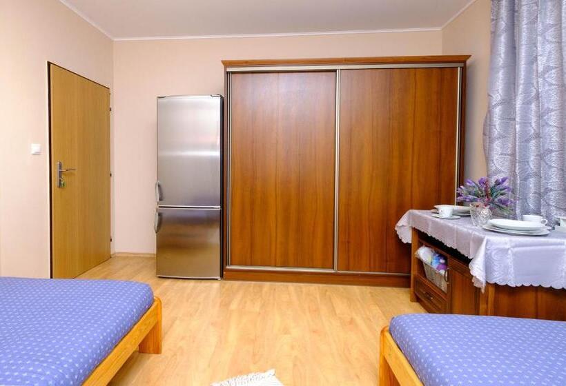 غرفة قياسية حمام مشترك, Vila24 Levice
