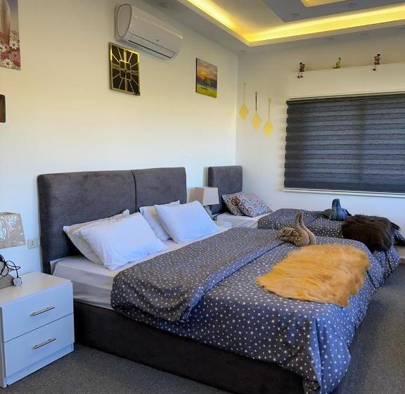 اتاق استاندارد سه نفره, Jerash City View