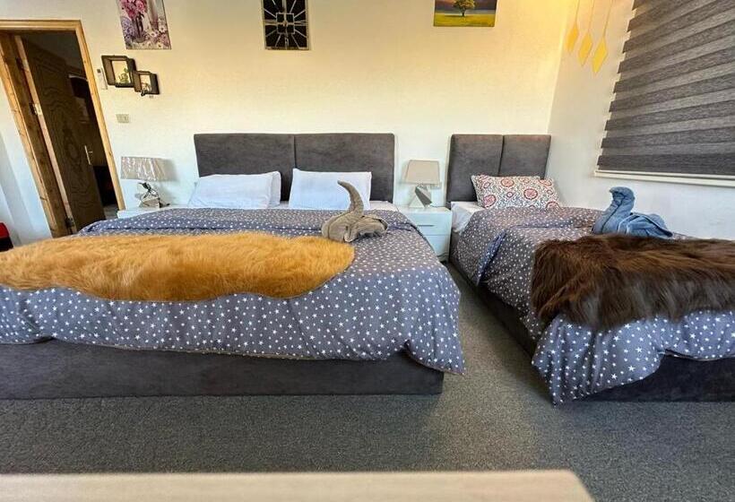 اتاق استاندارد سه نفره, Jerash City View