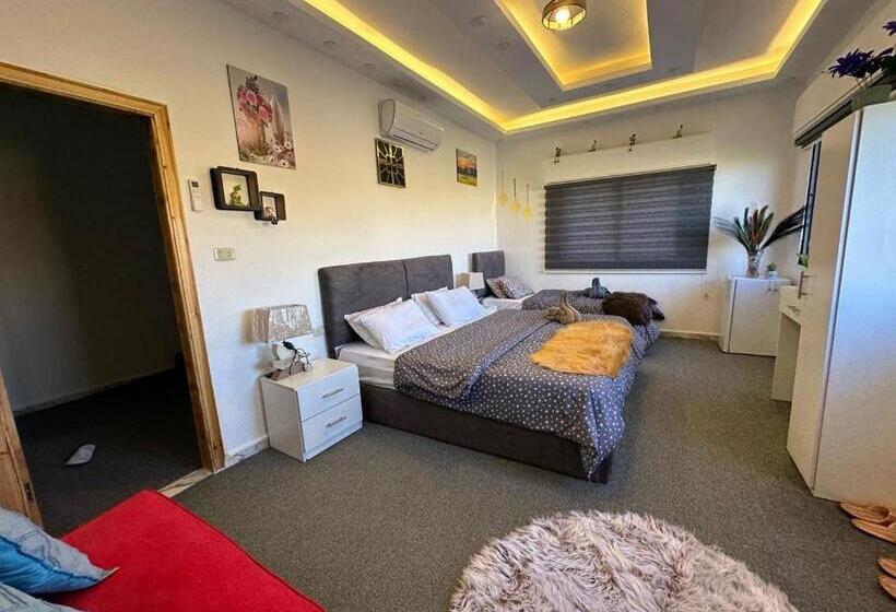 اتاق استاندارد سه نفره, Jerash City View