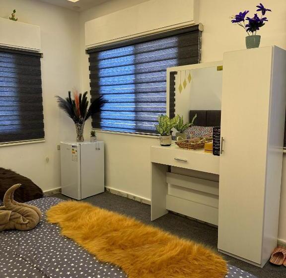 اتاق استاندارد سه نفره, Jerash City View