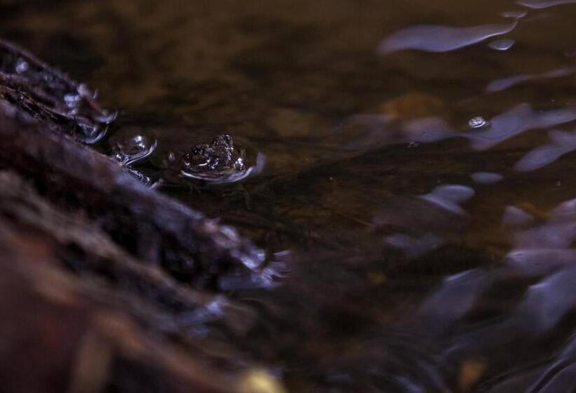 ガーデンビューデラックスルーム, The Mastodon Valley Safari Resort