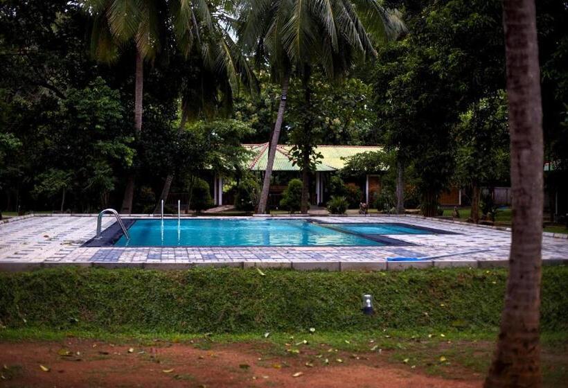 デラックスルーム, The Mastodon Valley Safari Resort