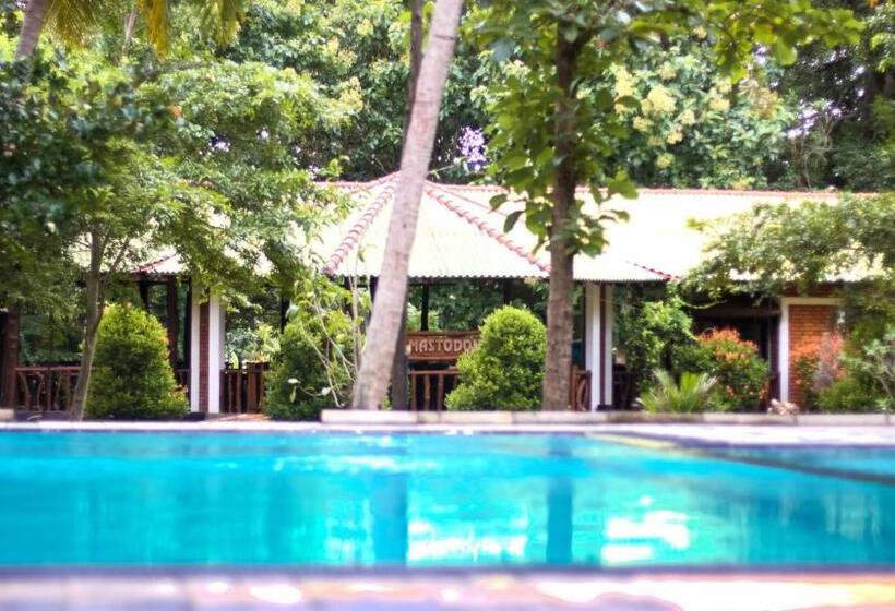 デラックスルーム, The Mastodon Valley Safari Resort