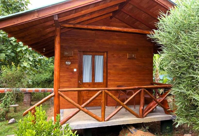 اتاق لوکس, The Mastodon Valley Safari Resort