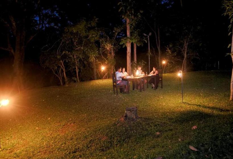 デラックスルーム, The Mastodon Valley Safari Resort