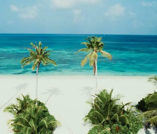 ویلای یک اتاق خوابه با استخر شنا, Jawakara Islands Maldives