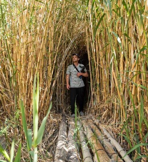 סטודיו סטנדרט, מיטה זוגית, Glaciar De Roca Lofts