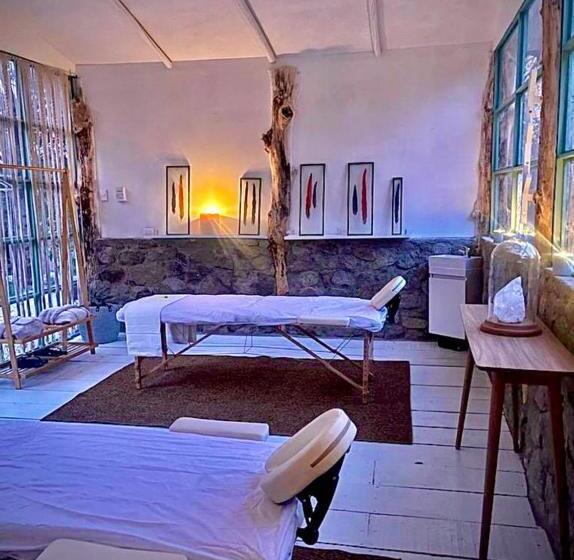 בונגלו משפחתי, Glaciar De Roca Lofts