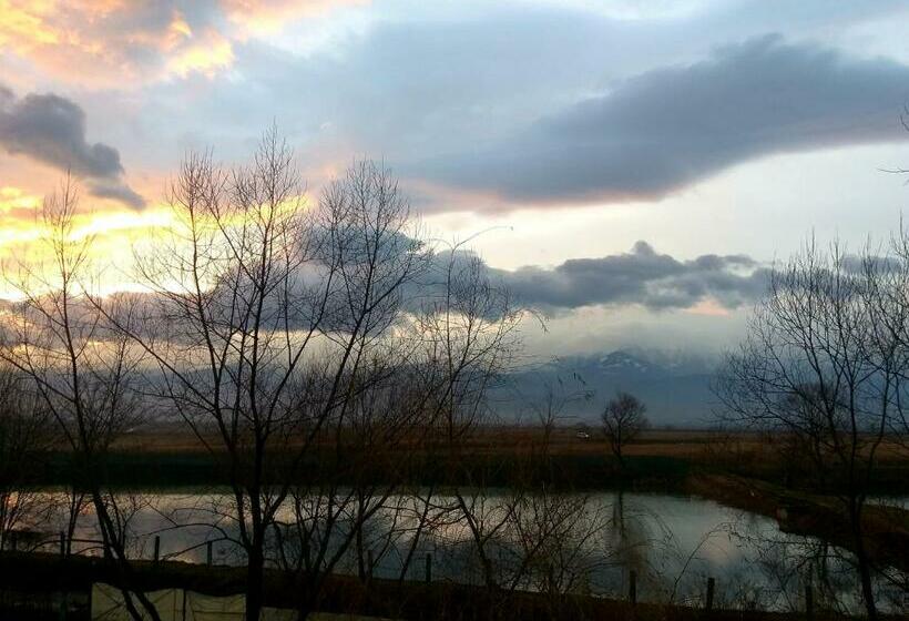 غرفة قياسية سرير كينج, Ferma Valea Soarelui