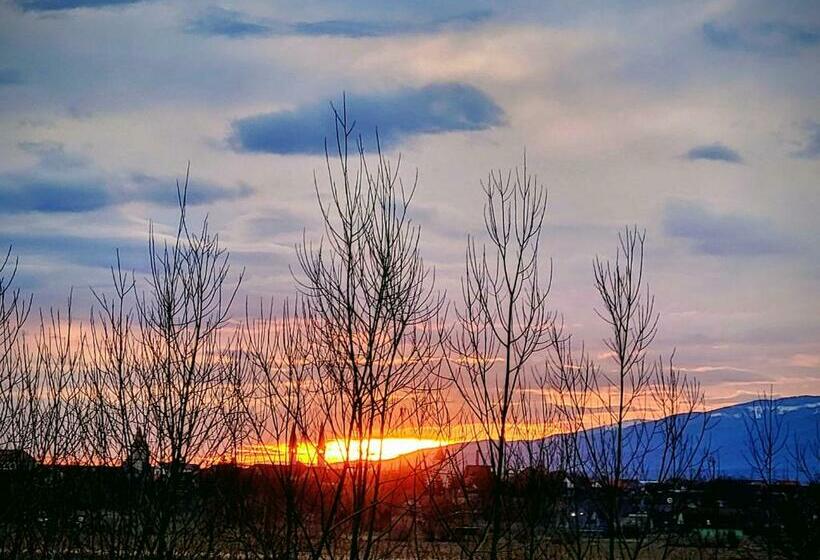 غرفة قياسية سرير كينج, Ferma Valea Soarelui