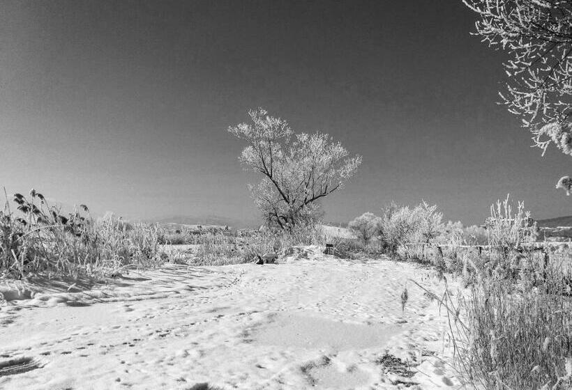 غرفة قياسية مطلّة علي الحديقة, Ferma Valea Soarelui