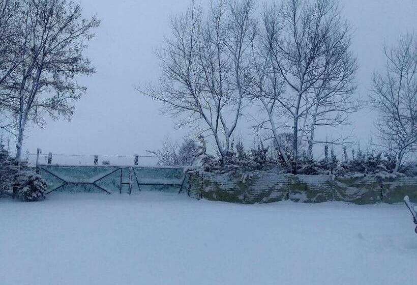 غرفة قياسية, Ferma Valea Soarelui